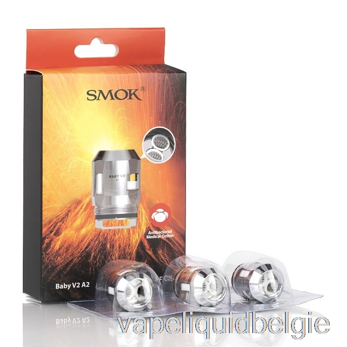 Vape België Smok Tfv8 Baby V2 Vervangingsspoelen 0.2ohm Baby V2 A2 Dubbele Spoelen (ss)